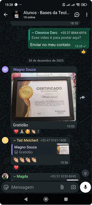 Print de mensagem de aluna elogiando o curso (1 de 10)